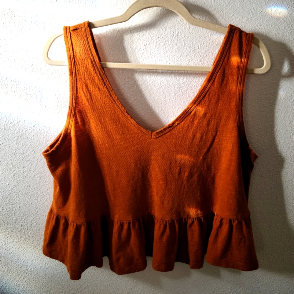 Wild Fable crop top